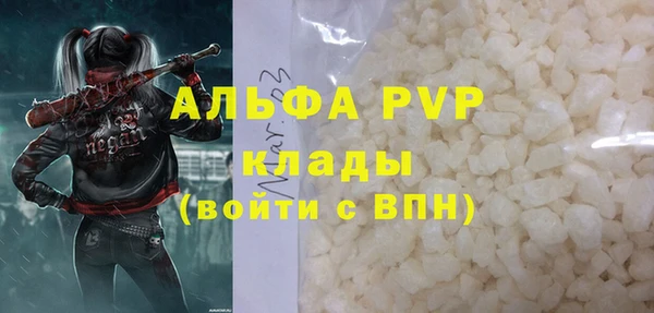 прущие грибы Надым