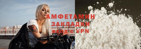 прущие грибы Надым