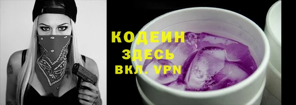 прущие грибы Надым