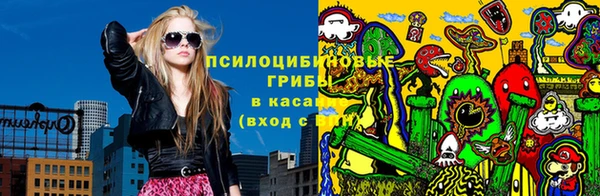 хмурый Нея