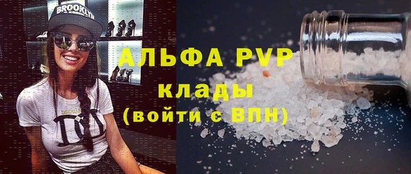 прущие грибы Надым