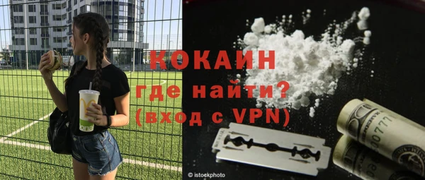 прущие грибы Надым