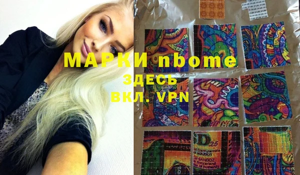 хмурый Нея