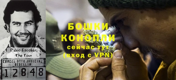 хмурый Нея