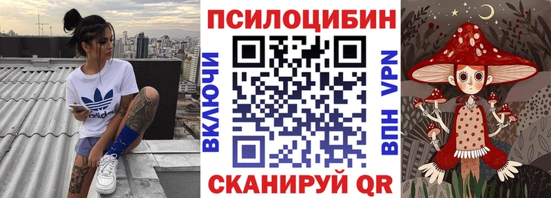 Купить где  Серафимович  Галлюциногенные грибы Cubensis 